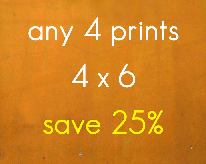 DISCOUNTED SET - Any four 4x6" prints - 25% off
