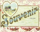 antique embossed postcard - souvenir - unused