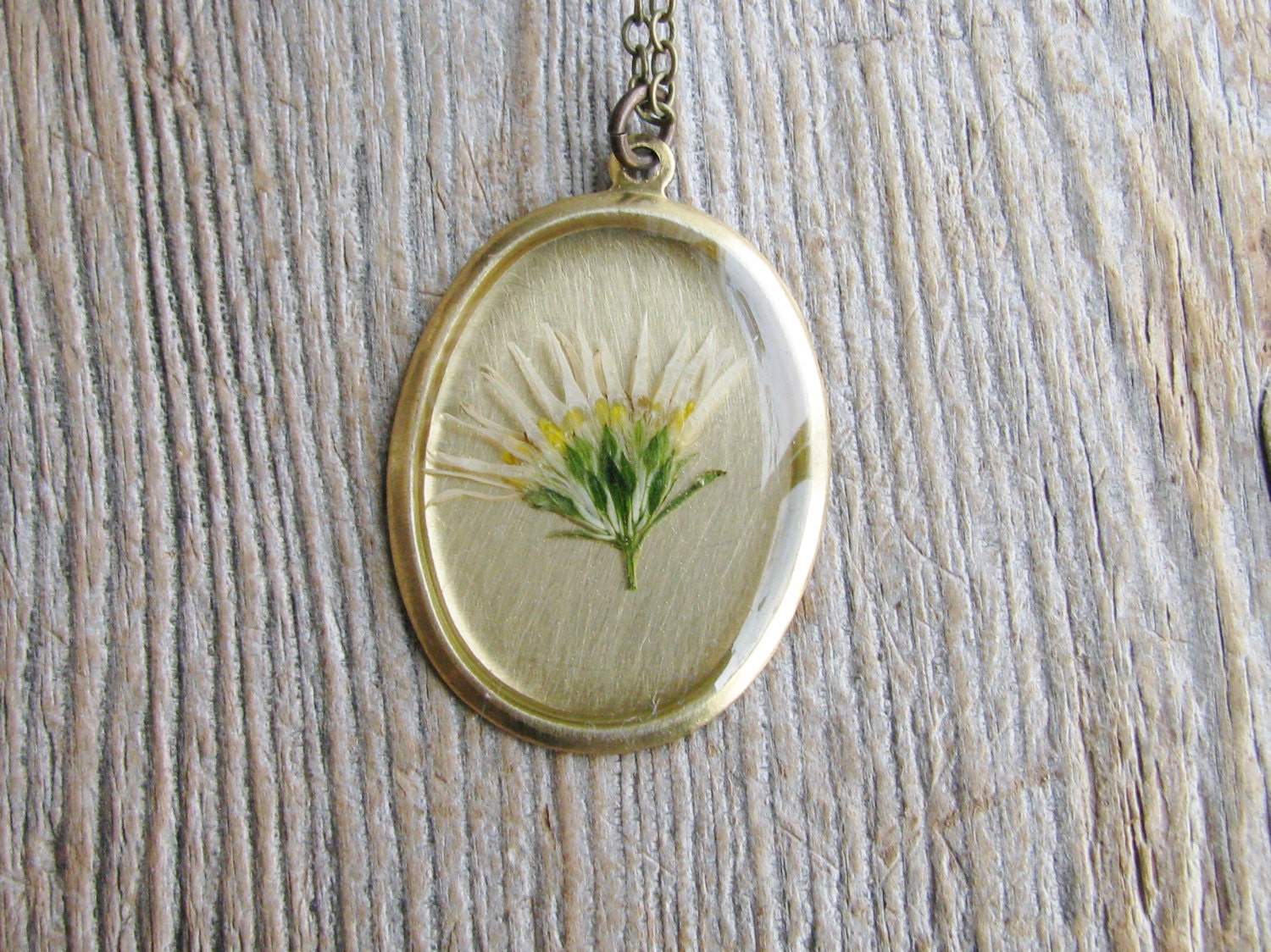 Pressed Flower Necklace Pressed Wildflower Botanical Jewelry Daisy Fleabane Flower Resin Pendant Nature Inspired Garden Lover Gift
