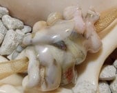Handmade Focal Bead OOAK SEA SLUG