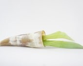 bull horn planter