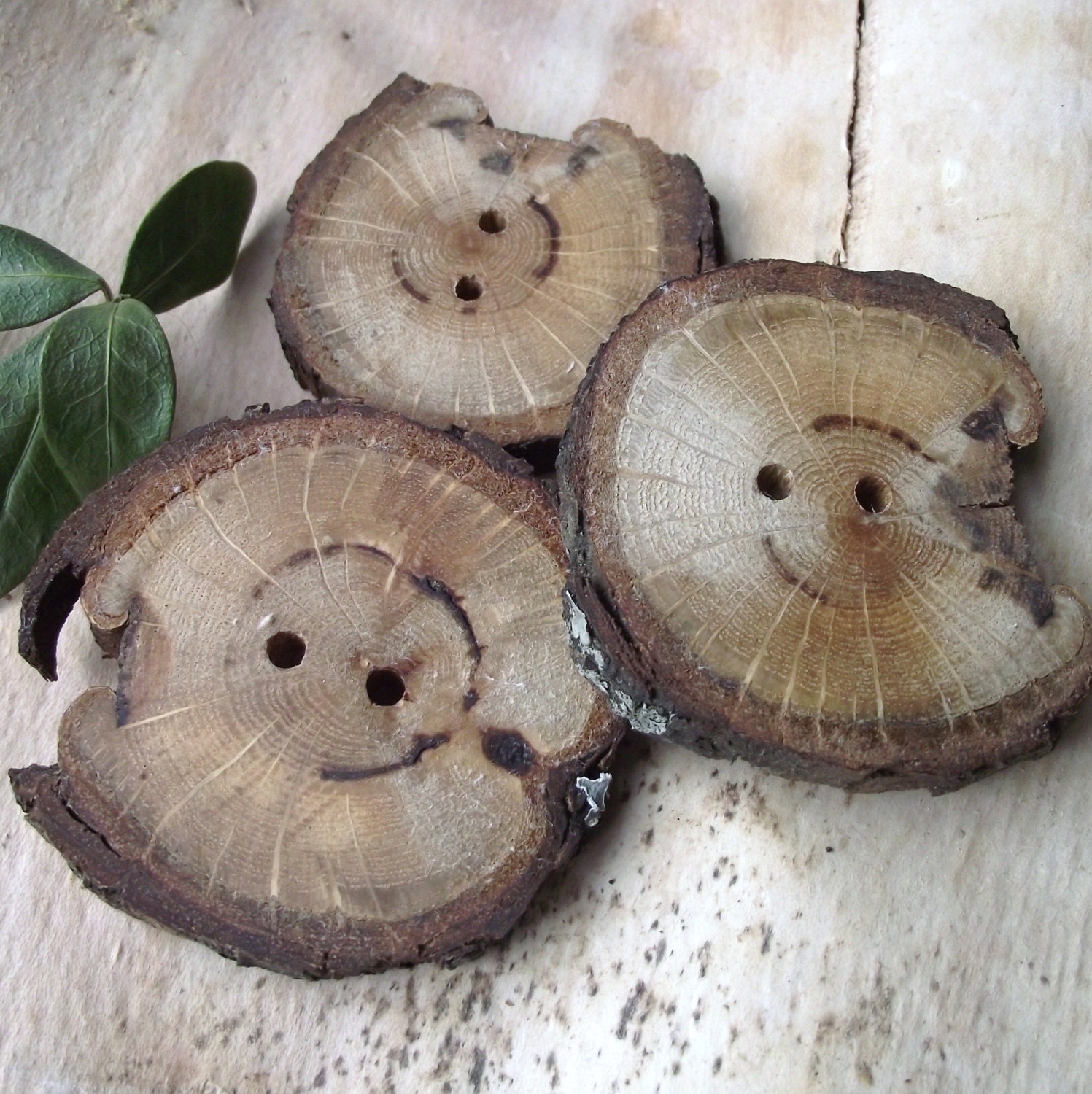 Wood Buttons - 3 Oak Wooden Tree Branch Buttons - 2 1/2 x 2 3/8 inches, 2 Holes, For Knitting, Journals, Pillows, Purses