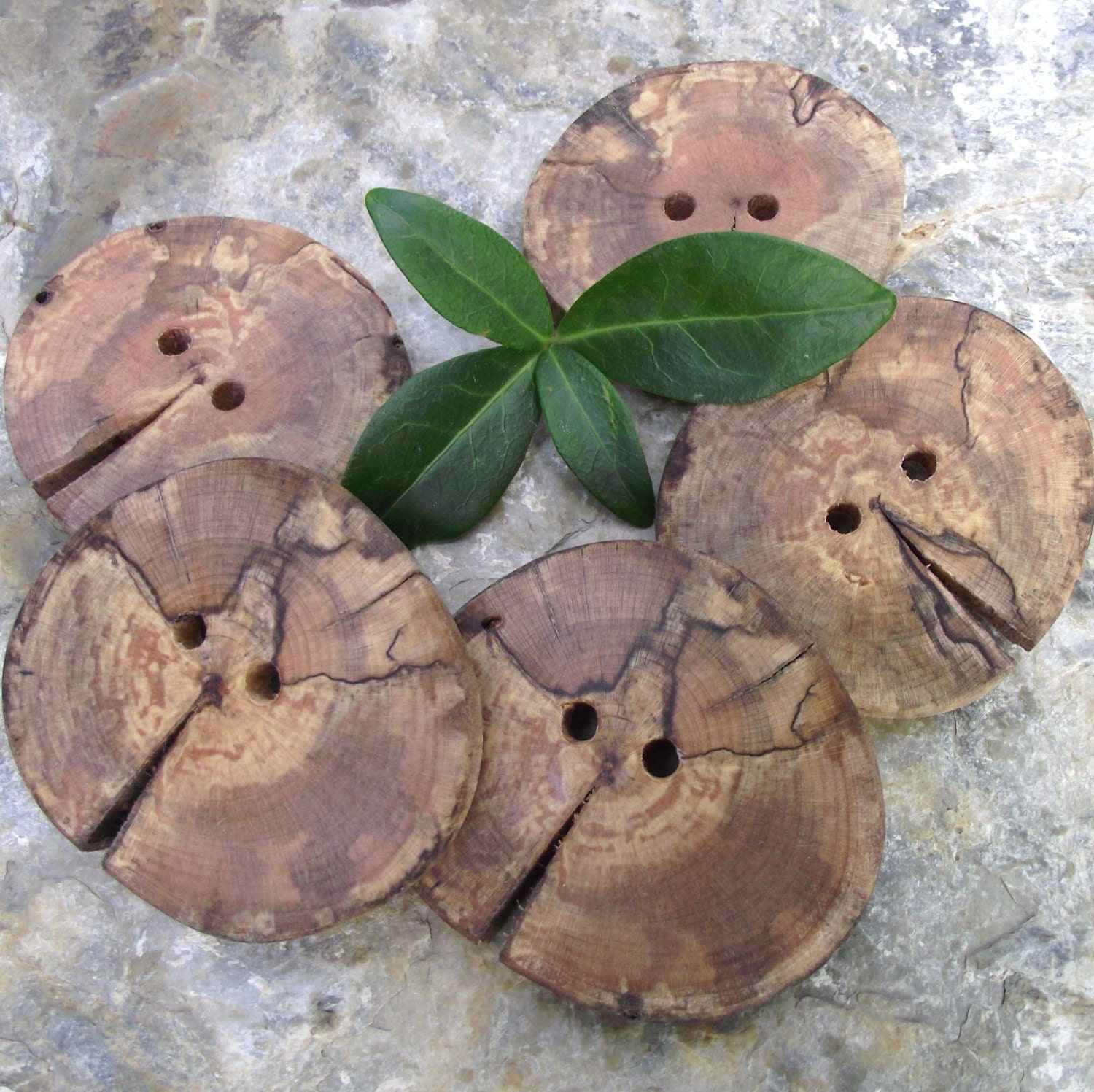 5 Spalted Dogwood Wooden Tree Branch Buttons - Wood Buttons - 2 x 1 3/4 inches, 2 Holes, For hand knits, journals, and pillows