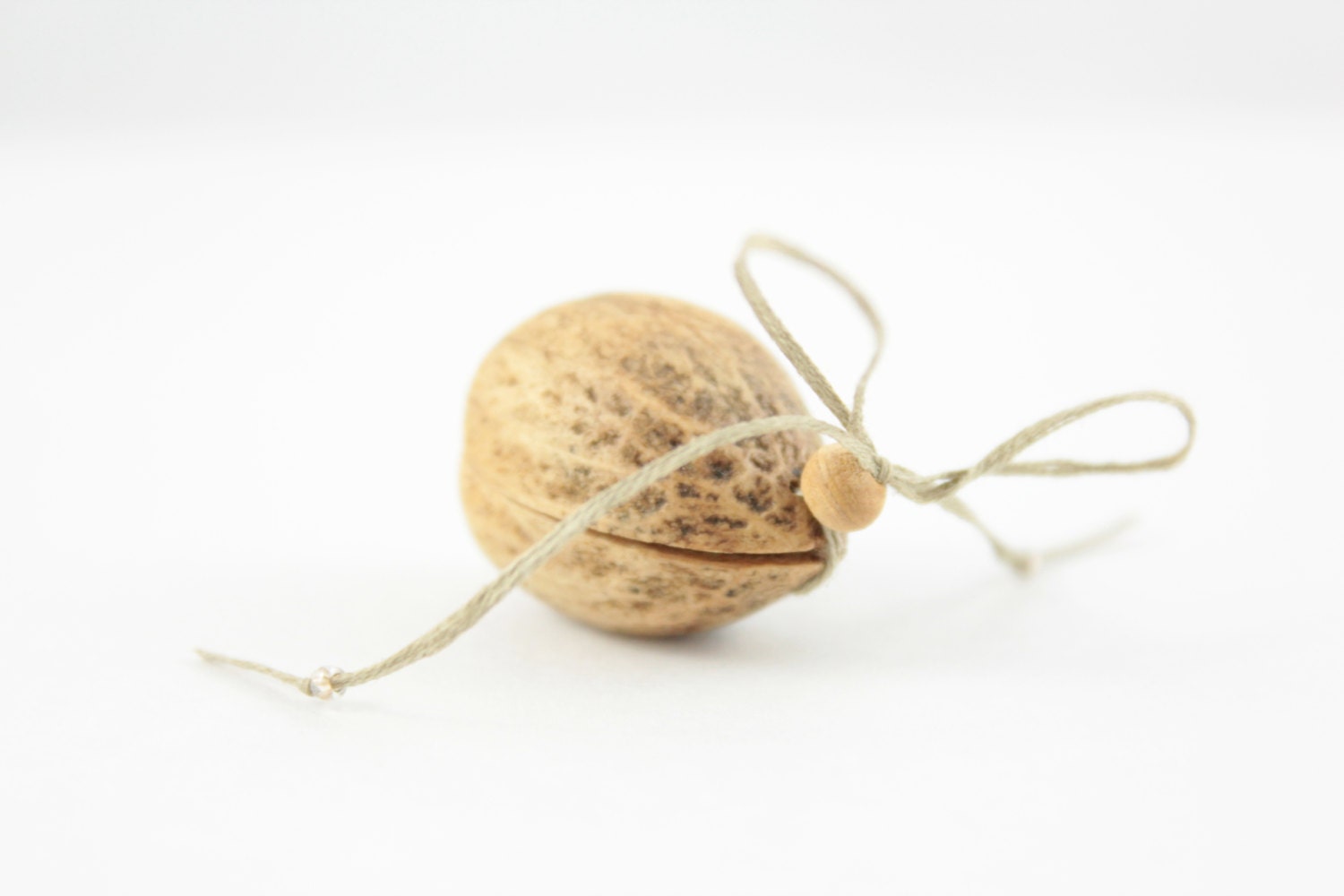 Nut Shell Box for Secret Messages