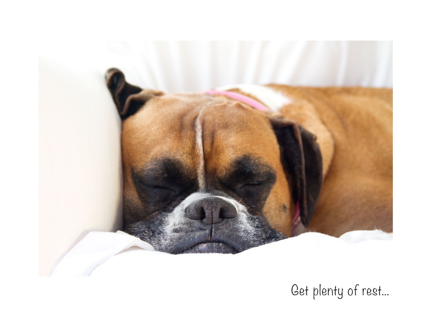 Boxer Dog Get Well Greeting Card