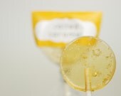 12 Salted Caramel Lollipops - artisan hard candy suckers - salted caramel candy
