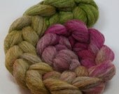 Appalachian Spring - hand dyed oatmeal BFL  - 4 oz