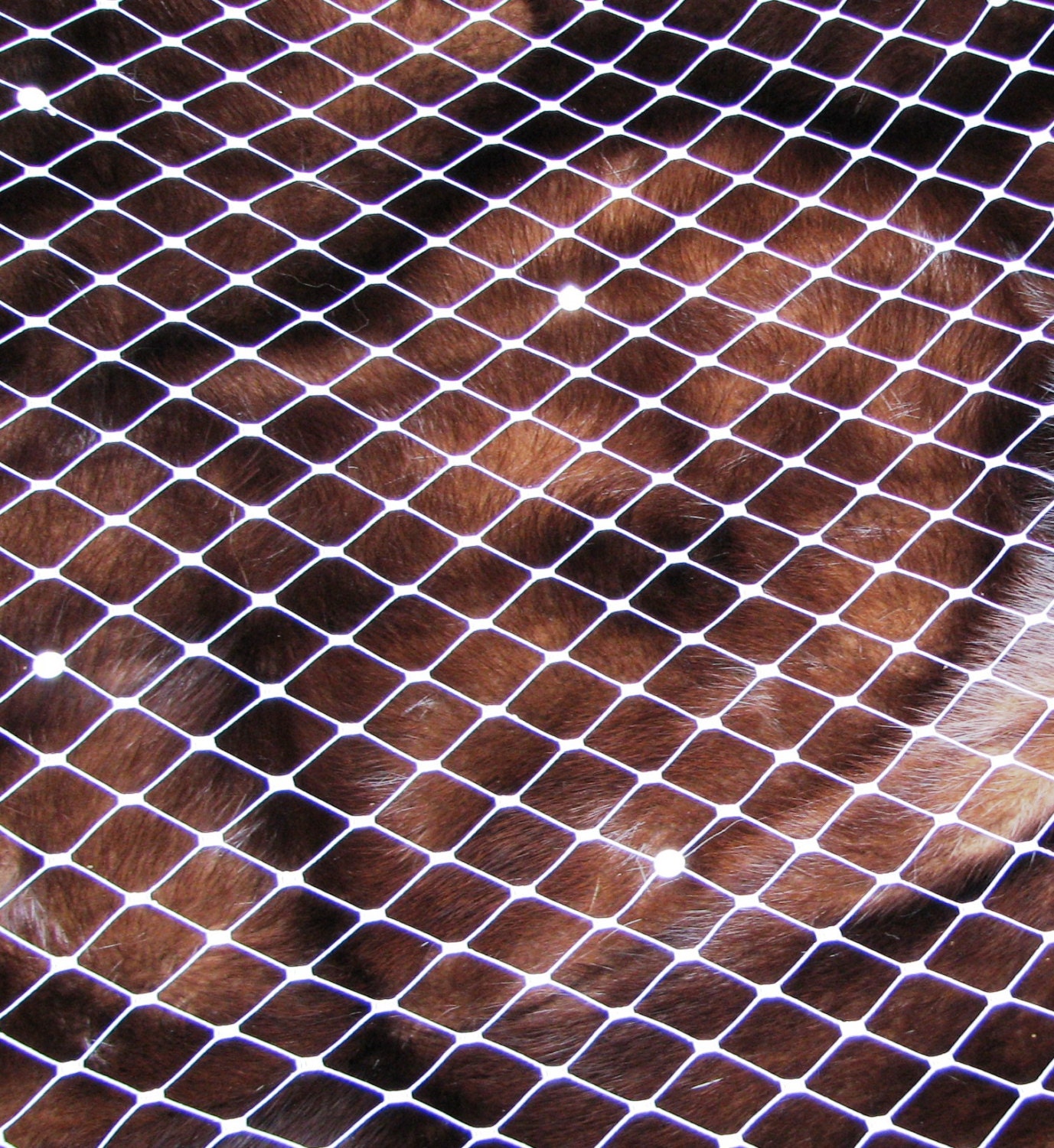 WHITE 12" wide,  rhinestones   attached 1 yard Veiling -  for DIY birdcage veils, fascinators