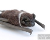 Needle felted Mexican Freetail bat brooch (MADE TO ORDER)