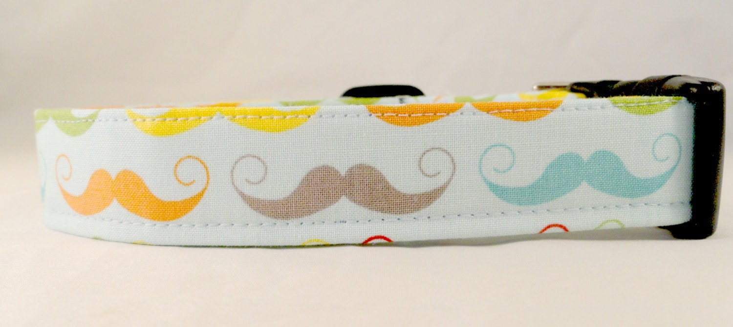 Awesome Multi Colored Mustaches on Aqua Blue Dog Collar
