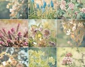 The Arrival of Spring - Nature photography, flowers, garden art, pink, sage green, cream, neutral decor, set of Nine 4x4" Mini Prints