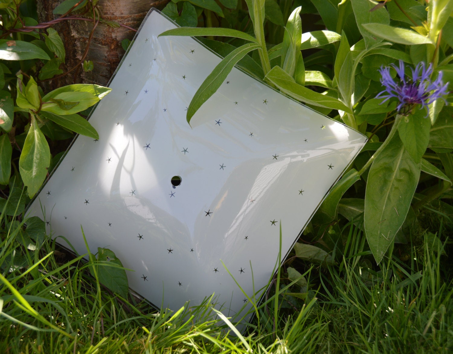 Mid Century Glass Ceiling Lighting Shade with Stars