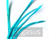 Teal Blue Biots loose goose feather (5-7 inches)(12 Biots) craft material for hats, earrings, shoe clip, hair clips and headbands