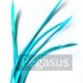 Teal Blue Biots loose goose feather (5-7 inches)(12 Biots) craft material for hats, earrings, shoe clip, hair clips and headbands