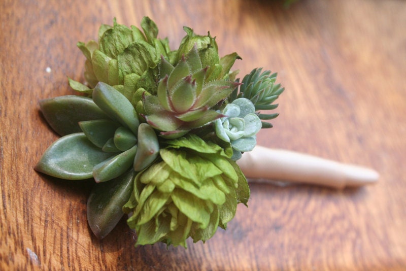 Boutonniere with hops and succulents