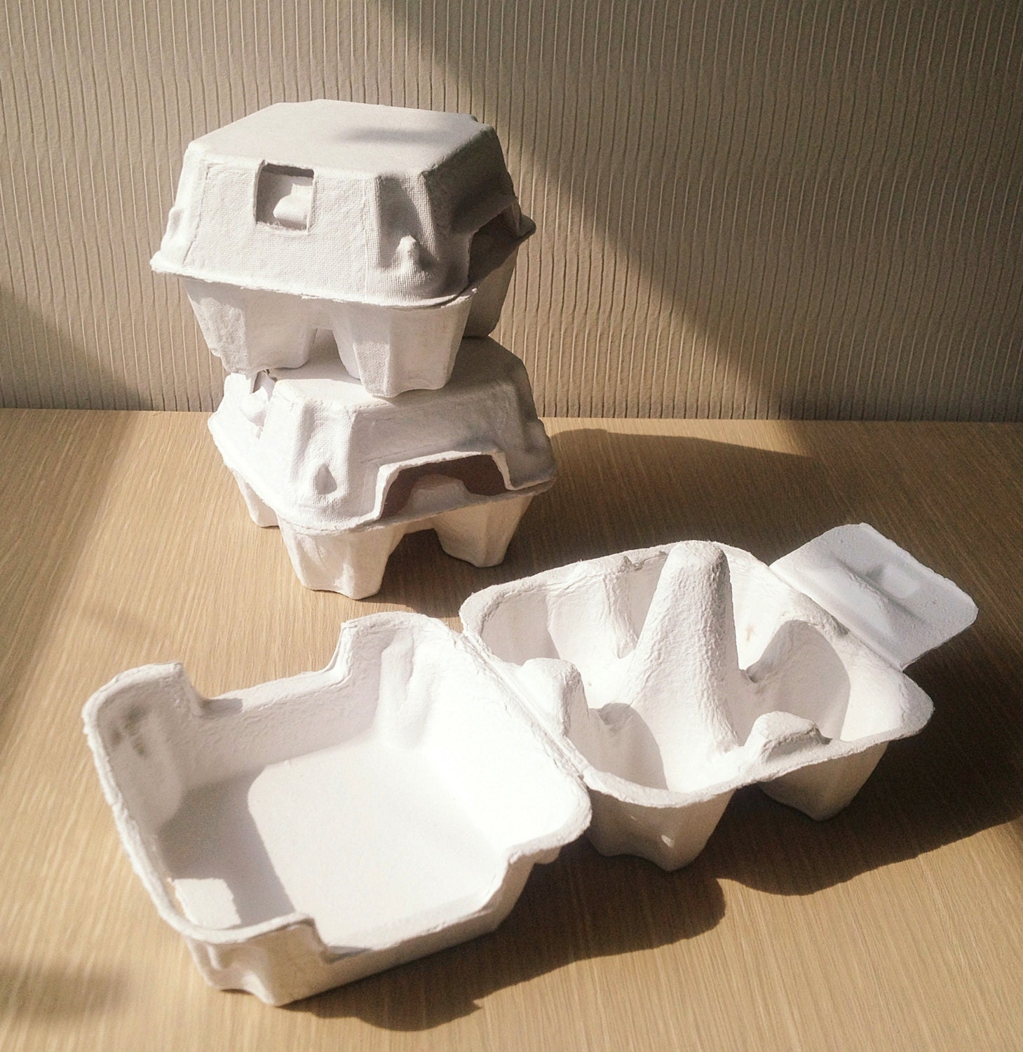 20 Egg Cartons in White -4 holding type