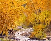 Landscape Painting Print - Fall on Bear Creek - 11" X 14" Giclée