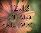 12x18 Photograph of any 8x12 Image