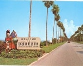 Vintage Florida Postcard - Dunedin - Edgewater Drive Overlooking Clearwater Bay and Gulf of Mexico