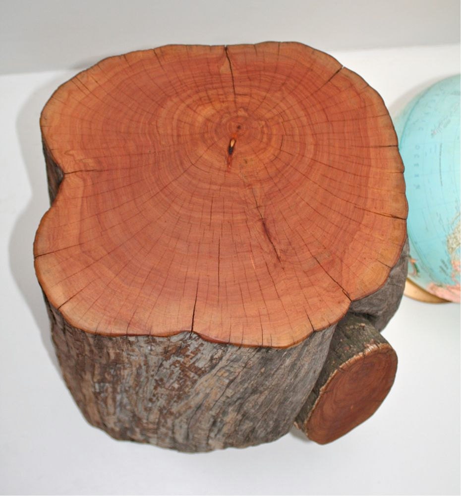 Reclaimed Tree Stump Table Rustic Stool Seat Organic Furniture