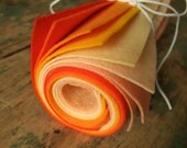 9x12 Wool Felt Sheets - The Creamsicle Collection - 8 Sheets of Felt