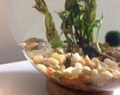 Small Rocks Upgrade