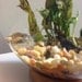 Small Rocks Upgrade