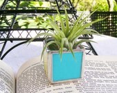 Turquoise Opal Stained Glass Tillandsia Air Plant Holder (airplant included)
