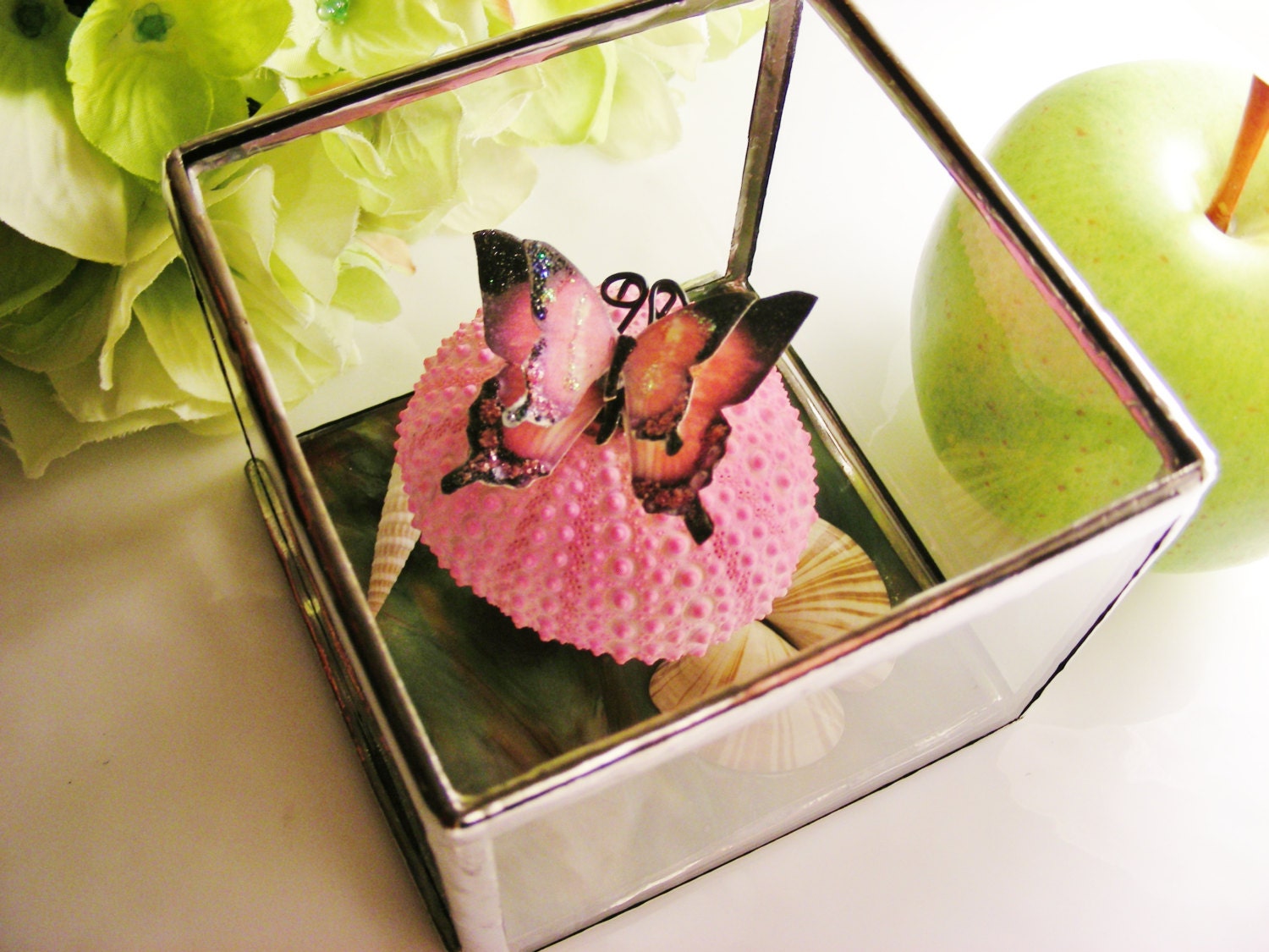 Forest Mushroom Butterfly Box