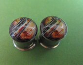 Eternal Sunshine of the Spotless Mind picture plugs gauges embedded resin filled - Made to Order 9/16, 5/8, 3/4, 7/8, 1"