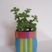 Planter, Flowerpot, Petite Home Decor, Beach Ball Stripes, Ready to Ship - by Nykki Makes