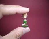 Playing bass in front of the tree in a tiny bottle