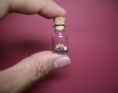 Stegosaurus in a tiny bottle