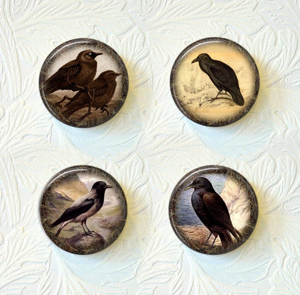 Magnet Set  Crows "Buy 3 get 1 Free"  151M