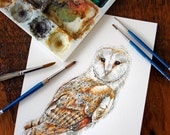 Barn Owl - Original Watercolor Painting