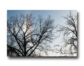 Sun Dogs Winter Fine Art Photography Home Decor Wall Print  Manitoba Winter Custom Size