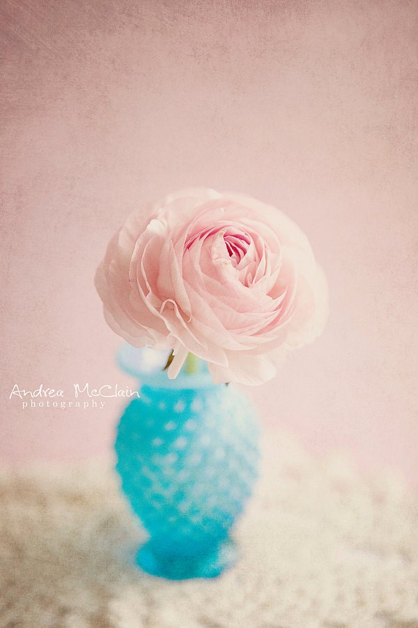 Pink Ranunculus -  8 x 10 print