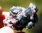 Blue Tourmaline Crystal Cluster Specimen with Lepidolite