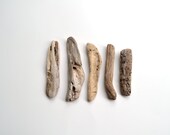5 Unique Driftwood pieces for craft projects, aquarium or home decor