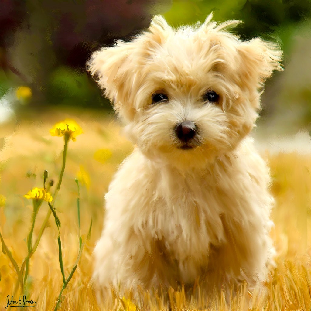 Custom Unique Gift Pet Oil Painting Pet Lover Wall Art  Dog Puppy Photo Canvas 16x20