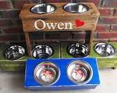 Dog Bowl Raised Personalized Medium