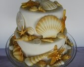 edible sea shell collection tan on white with sand set of 42