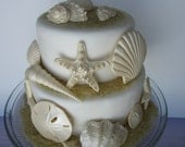 edible sea shells with sand set of 12 ivory pearl