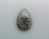 Dinosaur Bone Cabochon