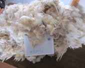 Border Leicester Raw Wool Unwashed Fiber Nice BM6
