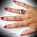 Carpe Diem 14k Gold 925 Sterling Silver Rings Ring Band Wedding Engagement Jewelry Jewellery CDR-215