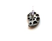 Nautilus pendant.  sterling wrapped seashell pendant. seashell key fob ornament drop. nautical unisex gift