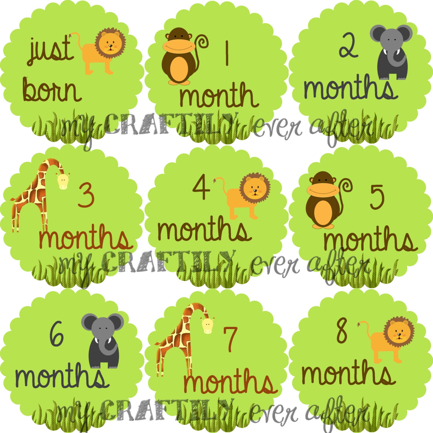 Monthly Onesie Decals for Baby - Zoo