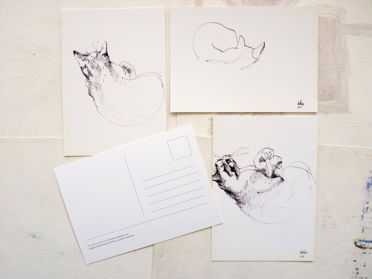 POSTCARDS Frida the cat series - 4 at your choice, set, pack, custom, animal, pet, portrait, illustration