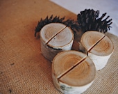 20 Birch Bark Place Card Holders for Weddings, Bridal Showers, Parties Rustic Eco Friendly Shabby Chic Cottage